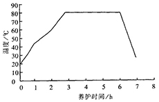 蒸汽養(yǎng)護(hù)溫度曲線