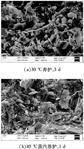 不同養(yǎng)護制度的混凝土內部微觀結構掃描電子顯微鏡圖像